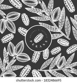 Hand drawn pecan branch and kernels design template. Organic food vector illustration on chalk board. Vintage nut illustration. Engraved style botanical picture.