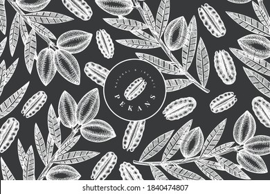 Hand drawn pecan branch and kernels design template. Organic food vector illustration on chalk board. Vintage nut illustration. Engraved style botanical picture.