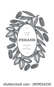 Hand drawn pecan branch and kernels design template. Organic food vector illustration on white background. Vintage nut illustration. Engraved style botanical picture.
