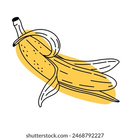 Hand drawn peeled banana abstract icon. Delicious tropical fruit, vegetarian nutrition. Doodle line art ripe banana in sketch style. Minimalistic and modern stylized vector illustration.