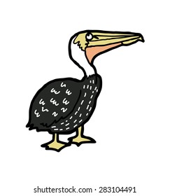 hand drawn pelican
