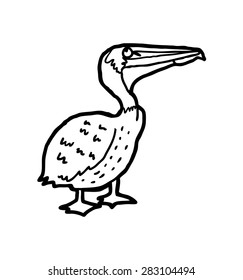 hand drawn pelican