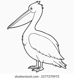 Hand drawn pelican animal silhouette