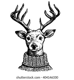 Hand drawn pen and ink vector drawing of a reindeer head. Funny hipster vintage style portrait illustration of a deer dressed in knitted turtleneck sweater, isolated on white background.