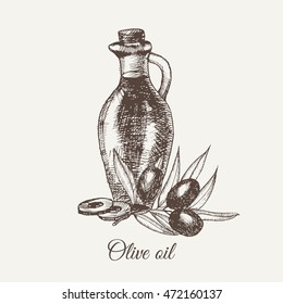 Hand drawn pencil bottle of olive oil. Still life of olive oil in a glass jar and sprigs of fresh olives. Vector illustration. EPS 10