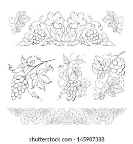 Hand drawn of pencil, grapes set. Vector illustration.