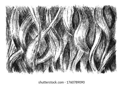 Hand drawn pencil hair texture. The structure of the wool, fur. Vector grunge modern textured brush stroke, scribbled. Abstract graphic background, poster, template, card, banner for business