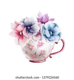 Hand drawn pencil illustration of anemone flowers in the cute retro cup