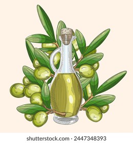 Hand drawn pencil olive set, branch and botle of olive oil. Handdrawn sketch of olives. Vector illustration. EPS 10.