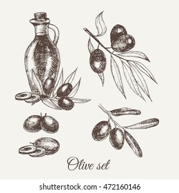Hand drawn pencil olive set, branch and botle of olive oil. Handdrawn sketch of olives. Vector illustration. EPS 10