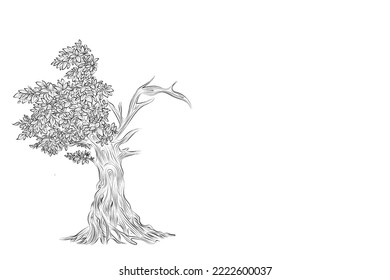 Hand drawn pencil sketch of tree. Oak tree with leaves isolated vintage illustration. Retro style nature illustration with details. Olive tree trunk. Ink sketch drawing. Dry Crooked Tree. Freehand.