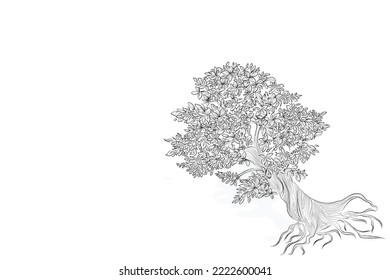 Hand drawn pencil sketch of tree. Oak tree with leaves isolated vintage illustration. Retro style nature illustration with details. Olive tree trunk. Ink sketch drawing. Dry Crooked Tree. Freehand.