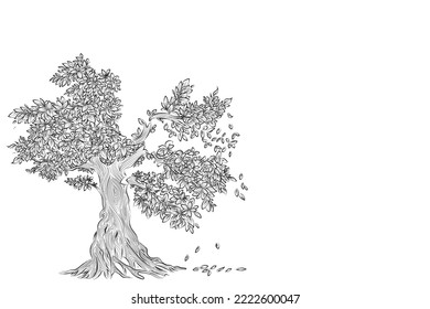 Hand drawn pencil sketch of tree. Oak tree with leaves isolated vintage illustration. Retro style nature illustration with details. Olive tree trunk. Ink sketch drawing. Dry Crooked Tree. Freehand.