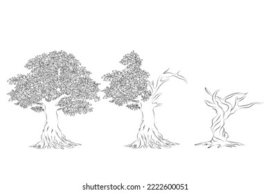 Hand drawn pencil sketch of tree. Oak tree with leaves isolated vintage illustration. Retro style nature illustration with details. Olive tree trunk. Ink sketch drawing. Dry Crooked Tree. Freehand.