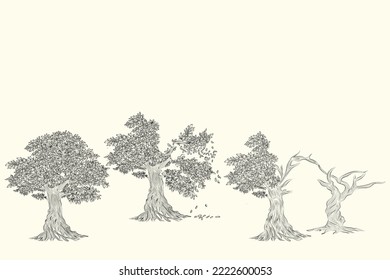 Hand drawn pencil sketch of tree. Oak tree with leaves isolated vintage illustration. Retro style nature illustration with details. Olive tree trunk. Ink sketch drawing. Dry Crooked Tree. Freehand.