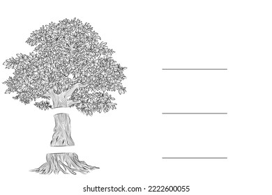 Hand drawn pencil sketch of tree. Oak tree with leaves isolated vintage illustration. Retro style nature illustration with details. Olive tree trunk. Ink sketch drawing. Dry Crooked Tree. Freehand.