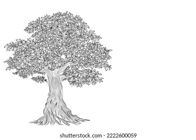 Hand drawn pencil sketch of tree. Oak tree with leaves isolated vintage illustration. Retro style nature illustration with details. Olive tree trunk. Ink sketch drawing. Dry Crooked Tree. Freehand.