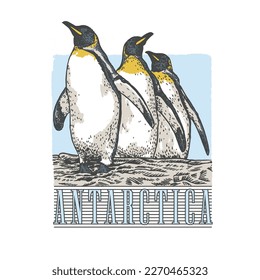 HAND DRAWENDETE PENGUIN BIRD ANTARKTISCHER EISSCHNEE BESTIMMUNGSTIER WILDLEBEN T-SHIRT DER DRUCK FÜR APPAREL MERCHANDISE