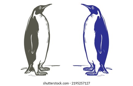 Hand Drawn Penguin Vector illustration
