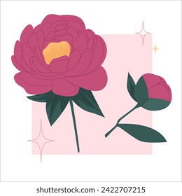 Hand drawn peonies background. beautiful flowers for print, card, decor. Spring summer decorative flowers illustration. Spring element decoration in modern simple cartoon flat style for print design