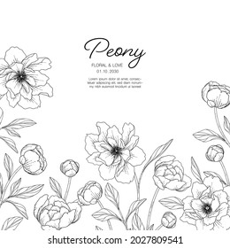 Hand drawn peony floral greeting card illustration with line art on white backgrounds.