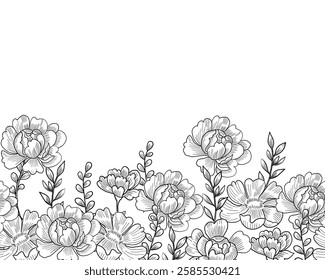 Hand Drawn Peony Flower Background