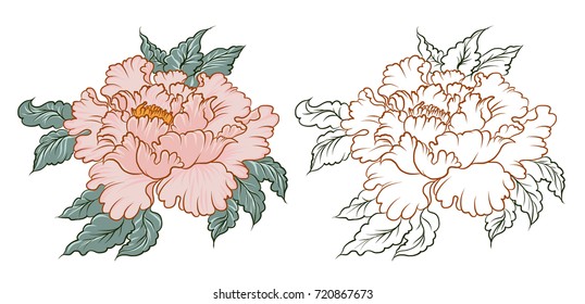 Hand Drawn Peony Flower Chinese Style Vector Art.Chinese Tattoo Design Pink Peony Flower.
