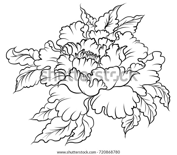手描きの牡丹花中国風ベクター画像 白黒の中国の入れ墨で 牡丹花をデザイン のベクター画像素材 ロイヤリティフリー