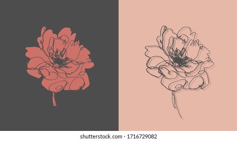 hand drawn peony flower illustration.  simple peony flower design. illustration of a flower on a dark background. linear vintage graphics. sketch. ink drawing.