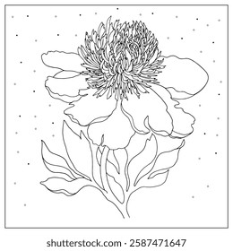 Hand drawn peony flower. Vector outlined floral illustration. Black ink sketch for tattoo, invitations, greeting cards, decor, coloring page.