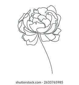 Hand drawn peony flower vector. Linear icon. Line continuous drawing. Floral design, botanical print, card, wall art poster, logo, sign, doodle, symbol. Abstract cartoon plant illustration