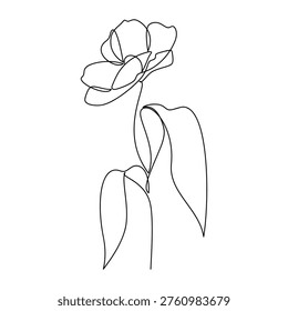 Hand drawn peony flower