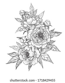 Hand drawn peony flowers, buds and leaves bunch isolated on white. Vector line art monochrome elegant floral composition in vintage style, t-shirt, tattoo design, coloring page, wedding decoration.
