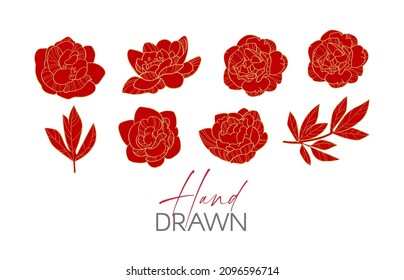 Hand drawn peony flowers collection. Elegant blossom set