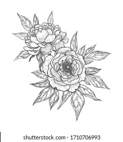 Vector Black White Vintage Peony Flower Stock Vector (Royalty Free ...