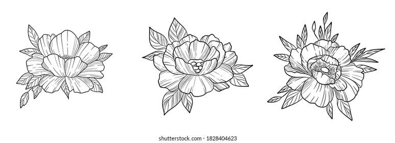 Hand drawn peony flowers vector set. Vector illustration