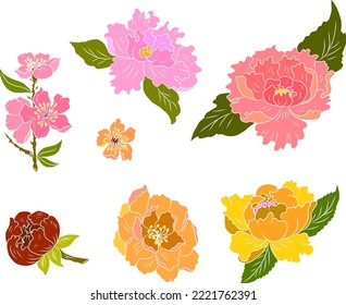 Hand drawn peony and lotus with sakura flower vector for coloring book isolate on white background.