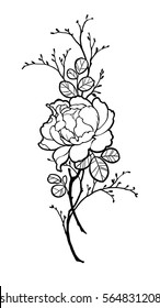 Hand drawn peony rose flower with branches for decorate. Black ink on white background. Can be used for decorate postcards, tattoo, engraving, etching, decorate t-shorts, tunics, bags.