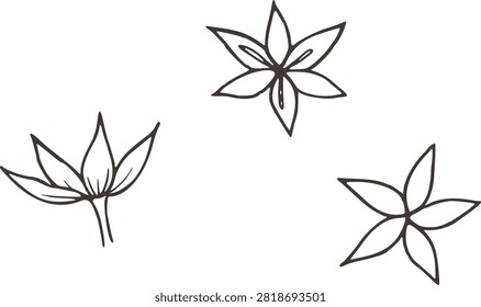 Hand Drawn Peony Sepals Botanical Line Art Vector Illustration