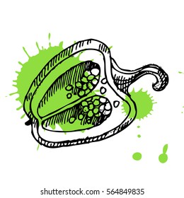 Hand drawn pepper. Can be used for vegan products, brochures, banner, restaurant menu, farmers market and organic food store