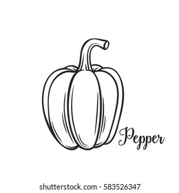 Hand drawn pepper icon. Vector badge vegetable in the old ink style for brochures, banner, restaurant menu and market