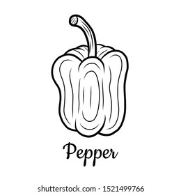Hand drawn Pepper isolated on a white. Paprika. Vegetables drawings. Vector illustration.