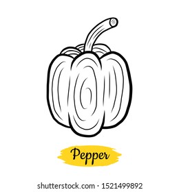 Hand drawn Pepper isolated on a white. Paprika. Vegetables drawings. Vector illustration.