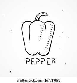 Hand drawn pepper Vector