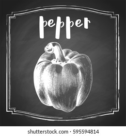 Hand drawn pepper vegetable, chalk sketch in square frame on blackboard background with type. Vintage food vector illustration.