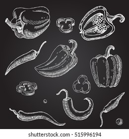 Hand drawn pepper. Vegetables. Doodle set.