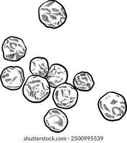 Hand drawn Peppercorns Sketch Illustration