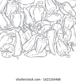 Hand drawn peppers. Vector background. Sketch  illustration.