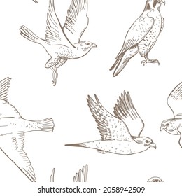 Hand drawn peregrine falcon.   Vector  seamless pattern