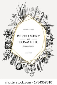 Hand drawn perfumery and cosmetic ingredients vintage flyer. Decorative background with aromatic plants, fruits, spices, herbs for perfumery. Organic cosmetics design template with golden foil border.